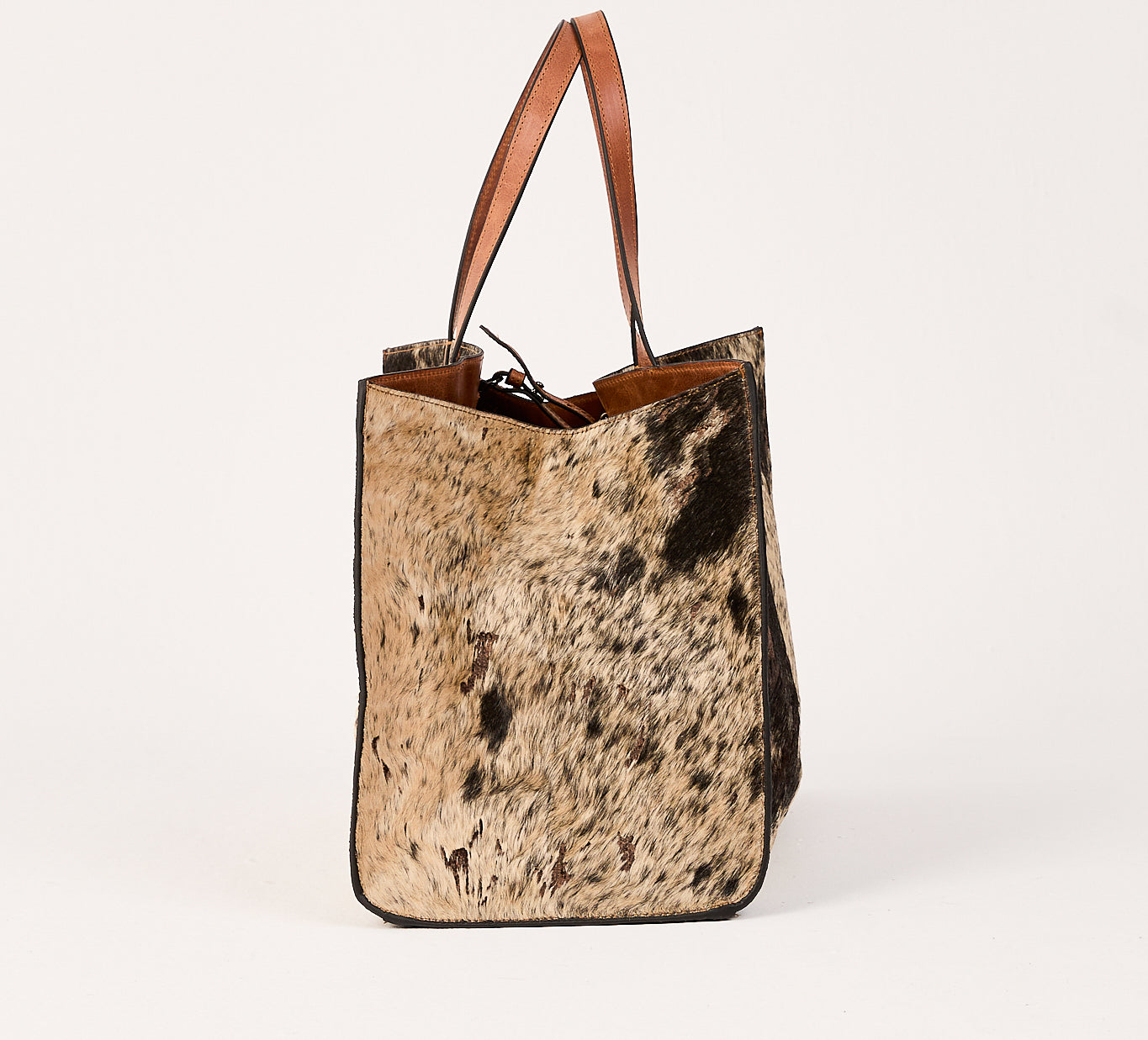 Lady - Life Carrier - Midnight Longhorn